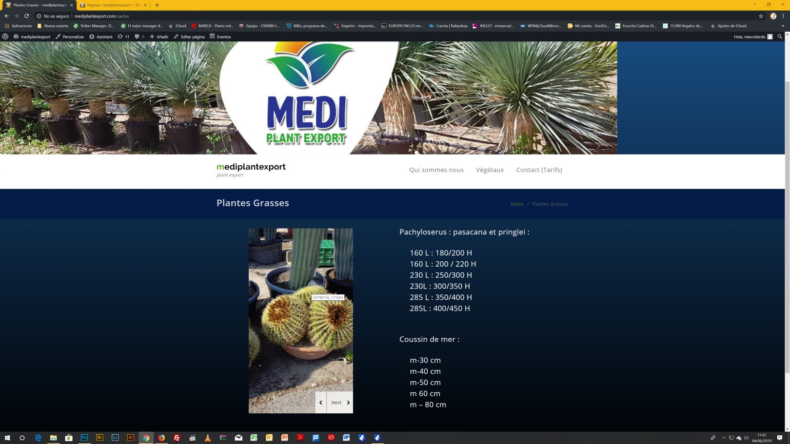 MEDIPLANT EXPORT WEB