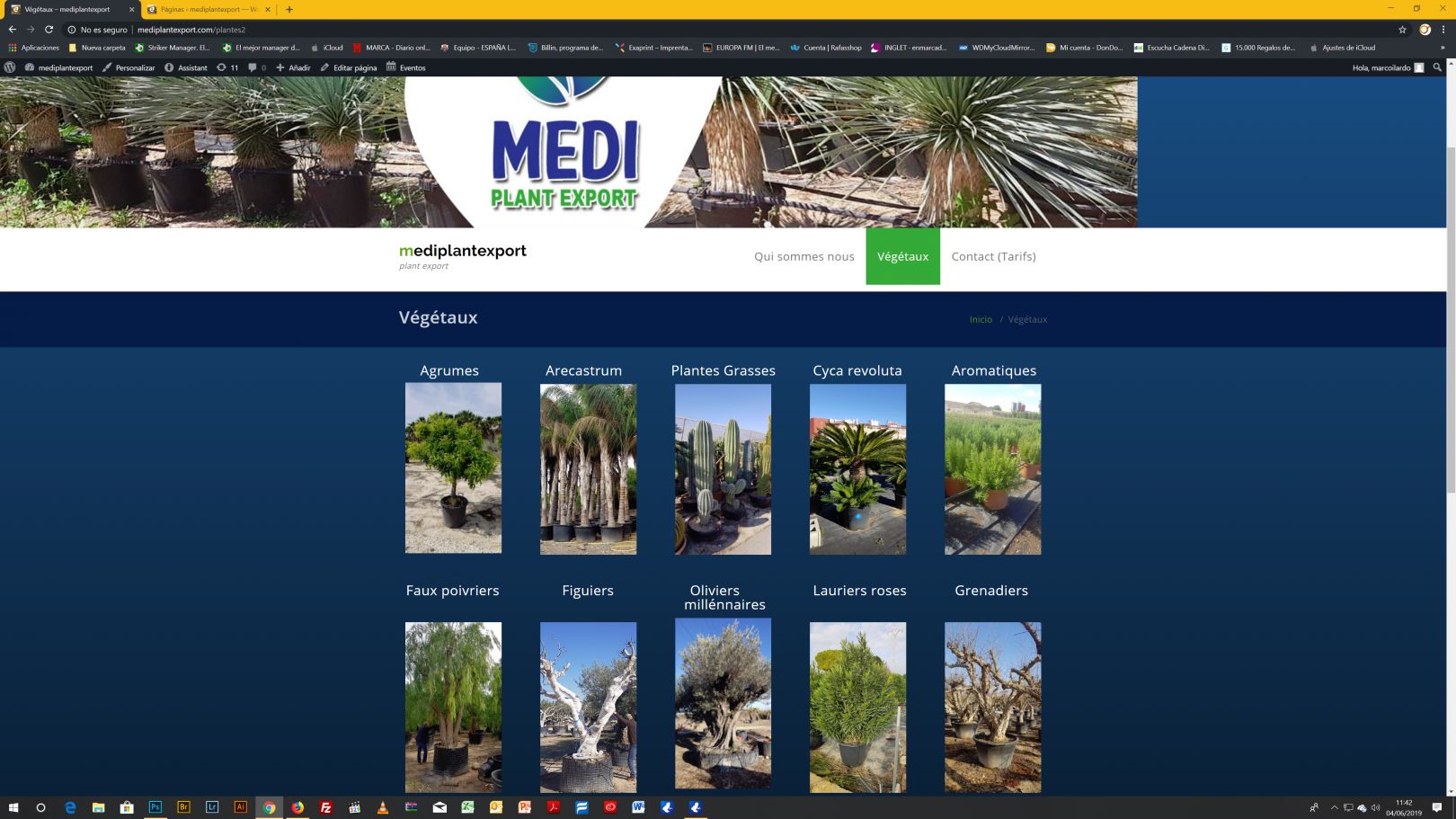 MEDIPLANT EXPORT WEB